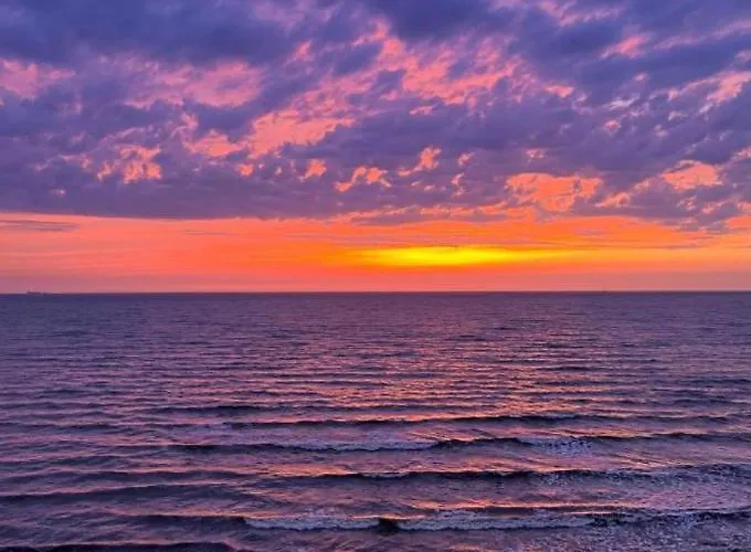 Apartment Rea House *